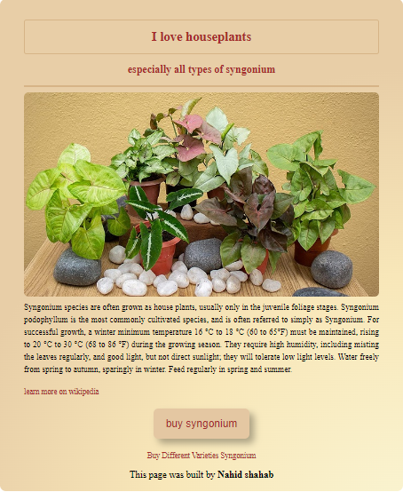 Syngonium species